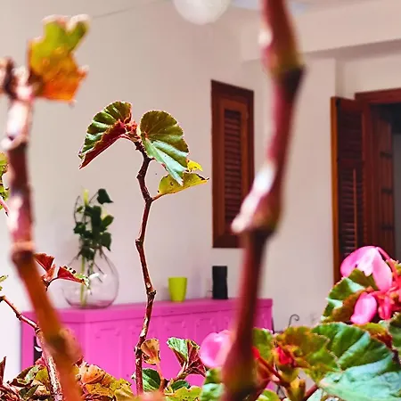 A Casa Da Mammi * Palermo
