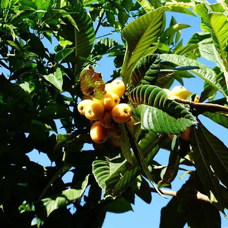 Tatil Evi A Casa Da Mammi Palermo