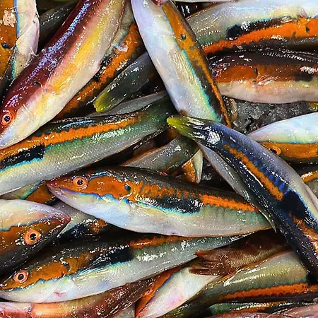 A Casa Da Mammi Tatil Evi *